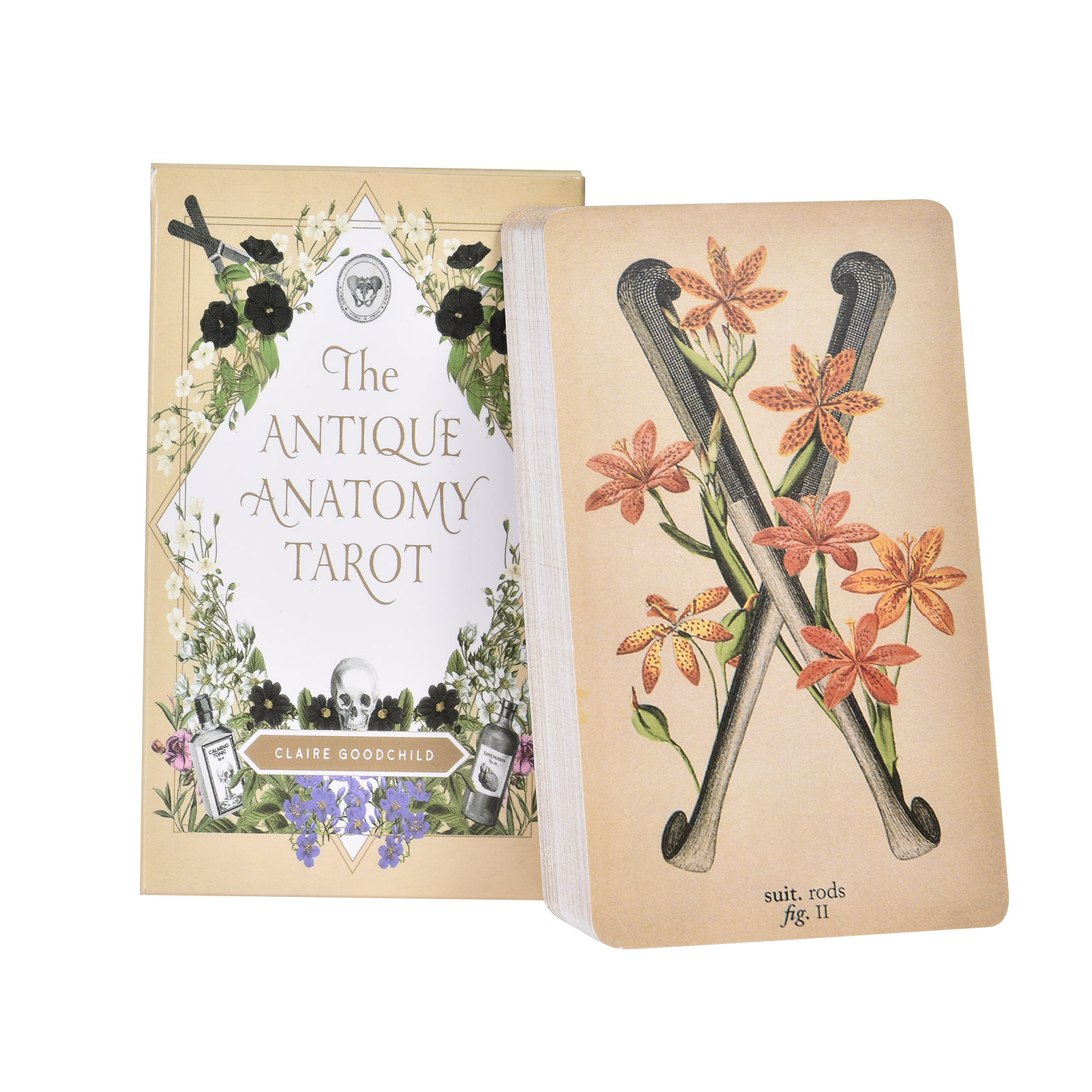 Tarot Cards Deck With Guidebook - De Antieke Anatomie Tarotkaarten Engelse Versie