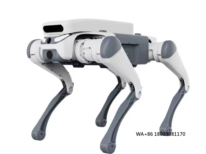 stunt afstandsbediening educat - Remote Control Toys recensie en prijs